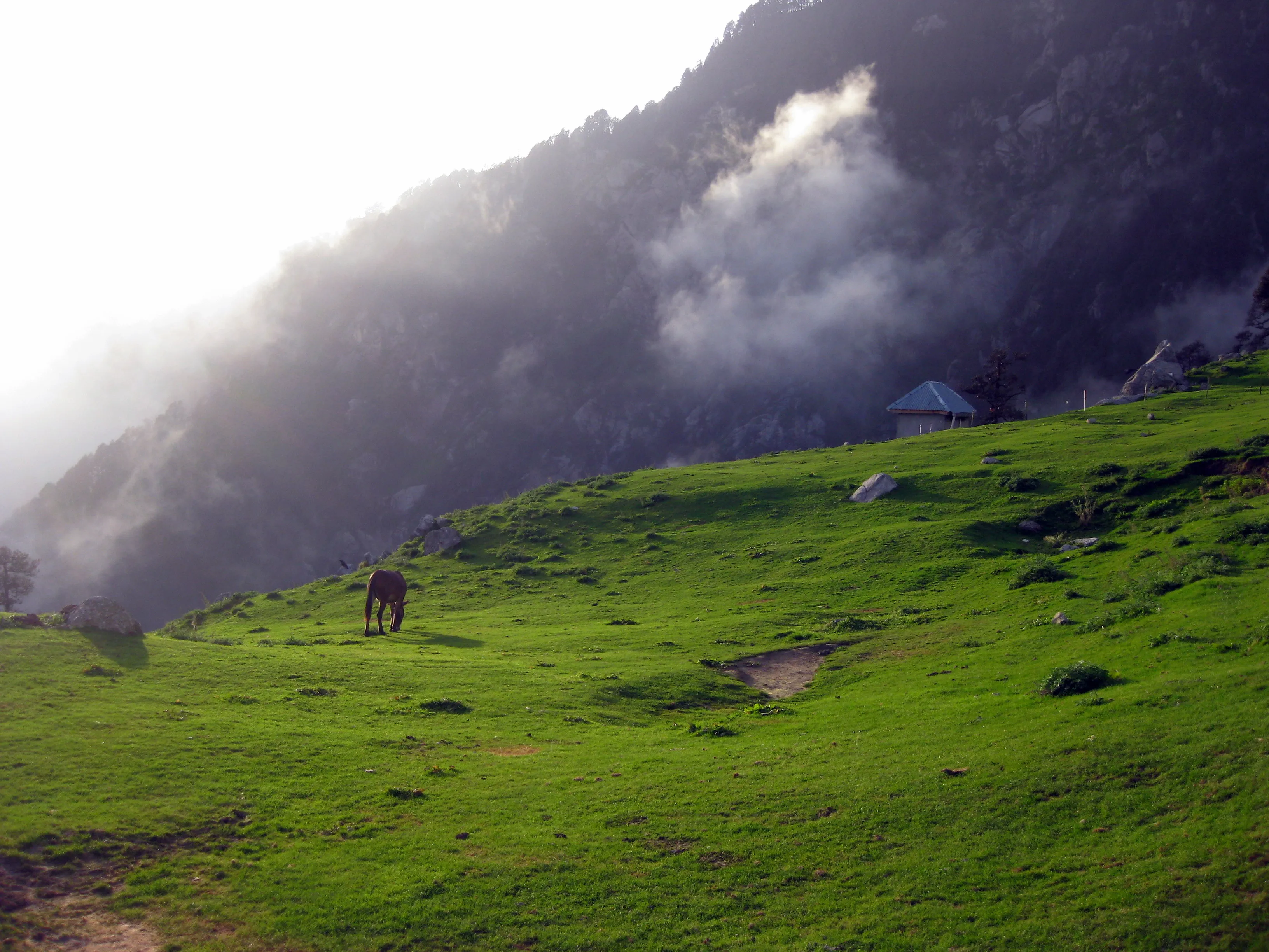 Indrahar Pass Trek, Mcleodganj — Dhauladhar Range, Himachal Pradesh